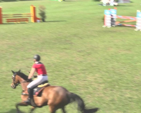 Reitturnier Uster 2018