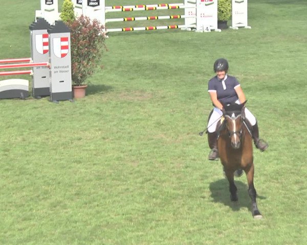 Reitturnier Uster 2018