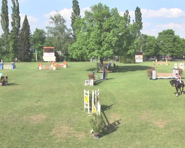Reitturnier Uster 2018