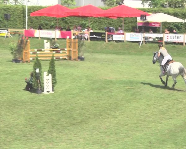 Reitturnier Uster 2018