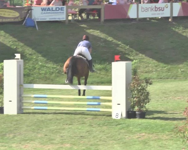 Reitturnier Uster 2018