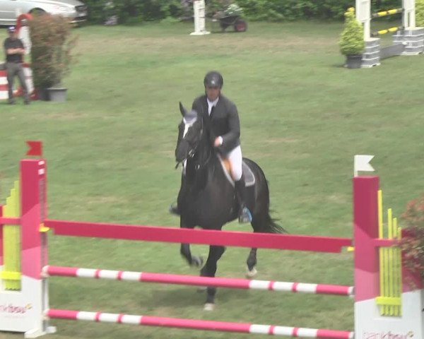 Reitturnier Uster 2018