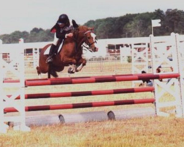 broodmare Blup Set l’Echenau (Welsh-Pony (Section B), 1989, from Jarnac du Logis)