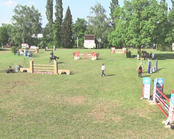 Reitturnier Uster 2018