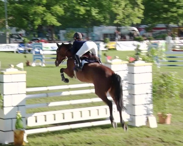 Greppiner Derby 2018