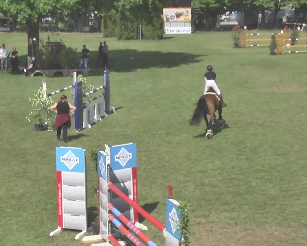 Reitturnier Uster 2018