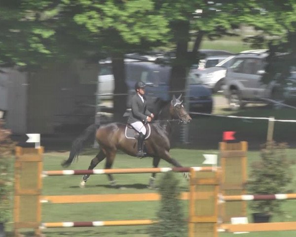 Reitturnier Uster 2018