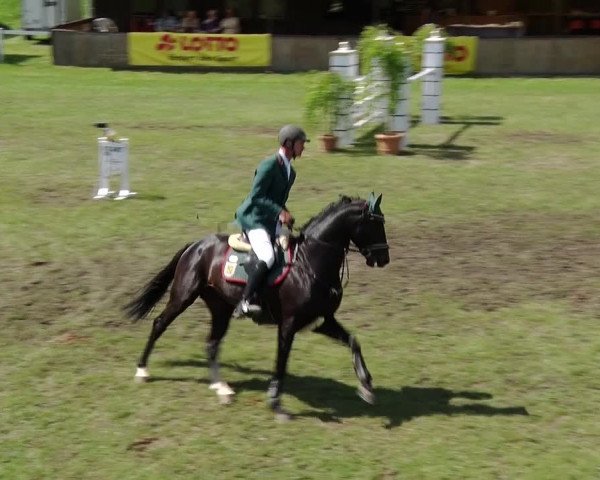 Greppiner Derby 2018