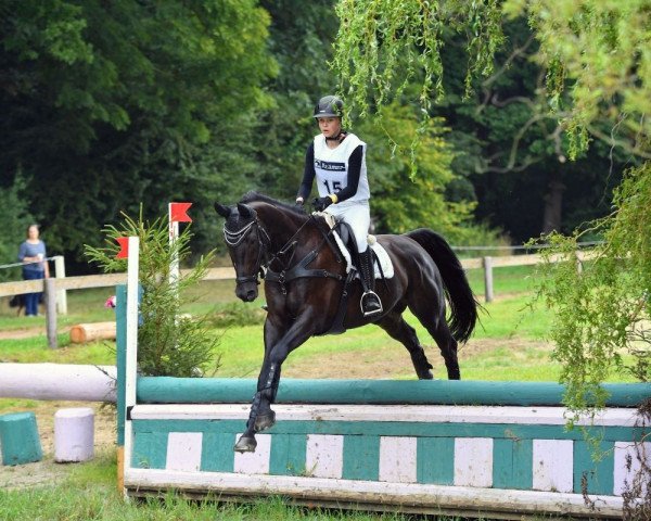 jumper Ramazotti 189 (German Sport Horse, 2009, from Rajko)