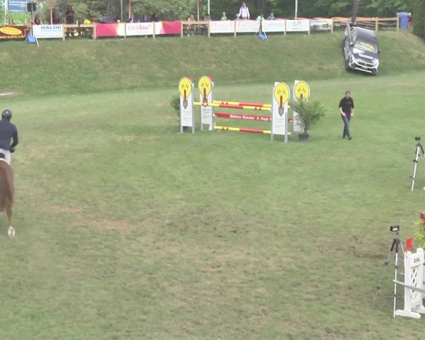 Reitturnier Uster 2018