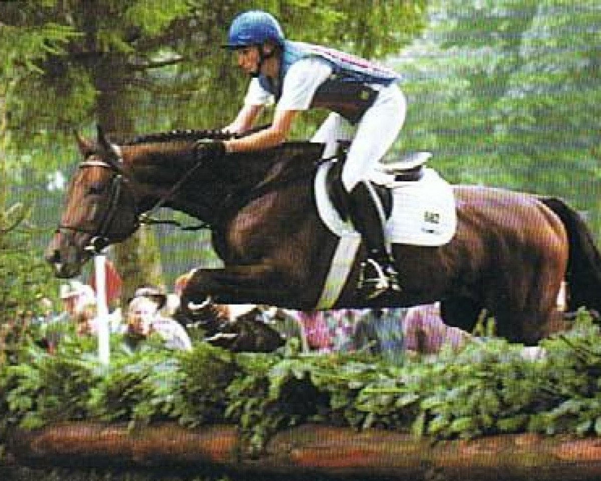 Deckhengst Starway (Trakehner, 1988, von Star Regent xx)
