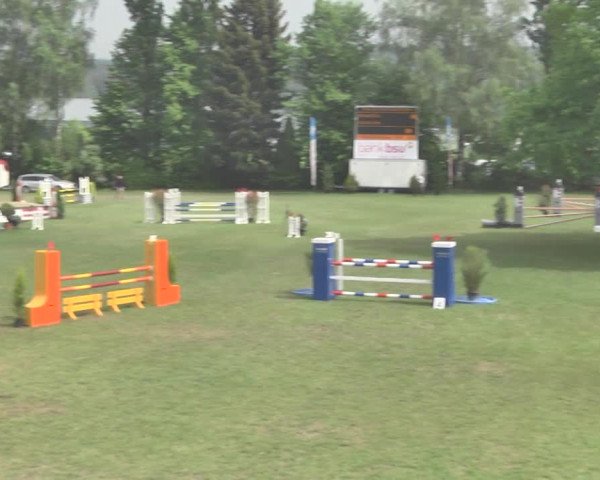 Reitturnier Uster 2018