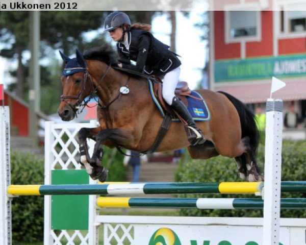 horse Marienhof's Nosy Nobby (German Riding Pony, 2001, from Nature Boy)