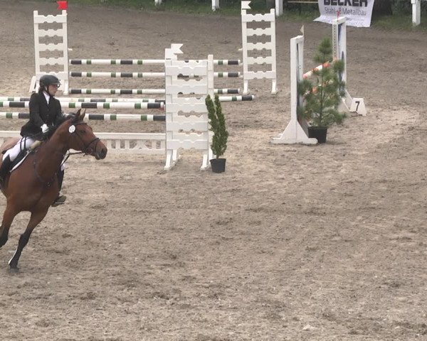 Eppelheimer Reiterfest 2018