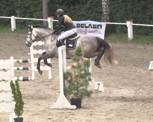 Eppelheimer Reiterfest 2018