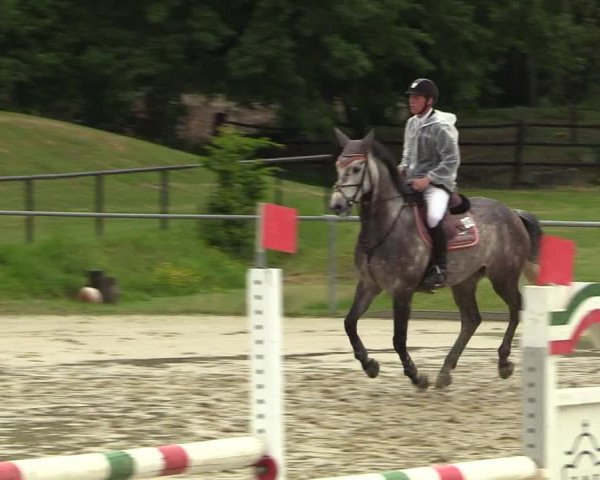 Reitturnier Hamm-Rhynern 2018