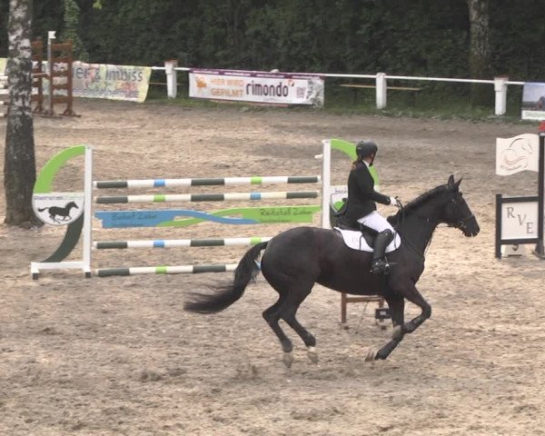 Eppelheimer Reiterfest 2018