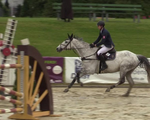 Reitturnier Hamm-Rhynern 2018