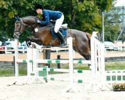 broodmare Vanity Pj (Hanoverian, 2011, from Vulkano FRH)