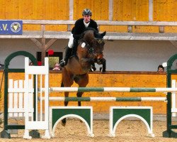 jumper Cini Mini Pj (Hanoverian, 2011, from Cardenio)