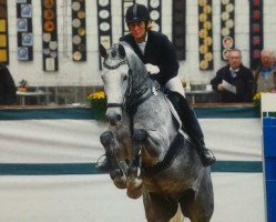 jumper Clear Coolio (Holsteiner, 2007, from Clearway)