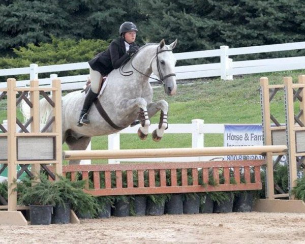 horse Smokey PJ (Hanoverian, 2007, from Salito)
