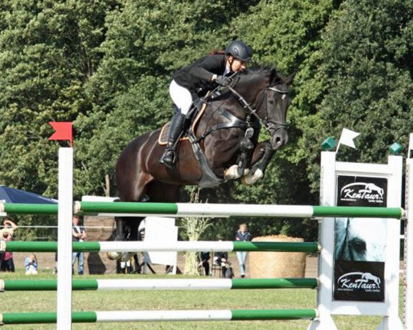 broodmare Estefania 17 (Hanoverian, 2004, from Escudo I)