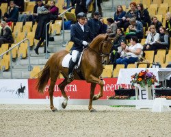 dressage horse CAMPARI (Hanoverian, 2008, from Concetto)