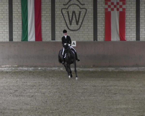 Reitturnier Hamm-Rhynern 2018
