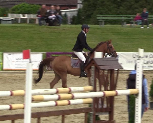 Reitturnier Hamm-Rhynern 2018