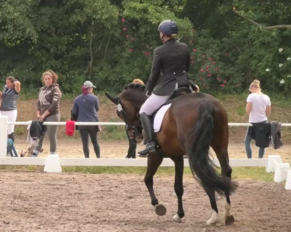 Eppelheimer Reiterfest 2018