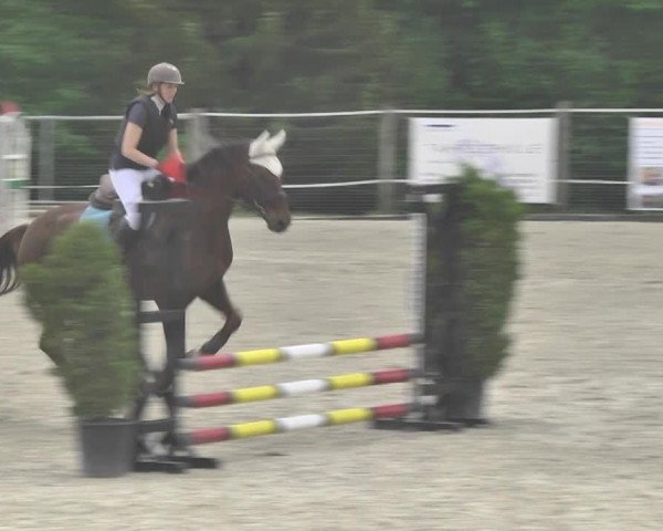 Reitturnier Winkel 2018