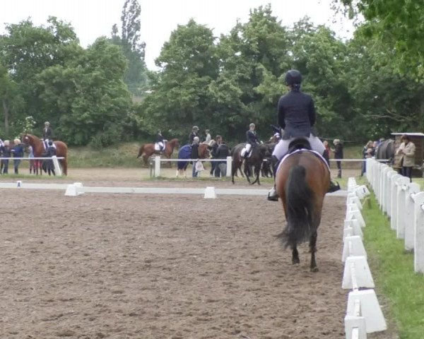 Eppelheimer Reiterfest 2018