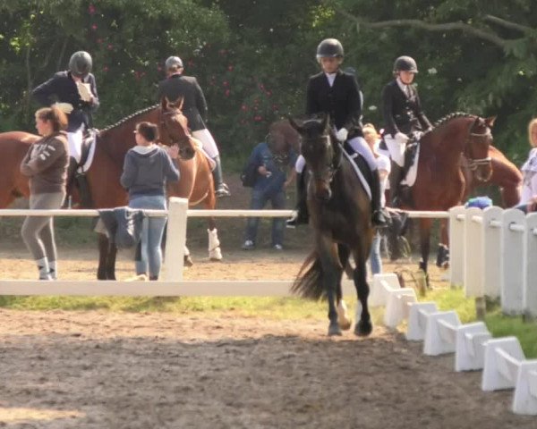 Eppelheimer Reiterfest 2018