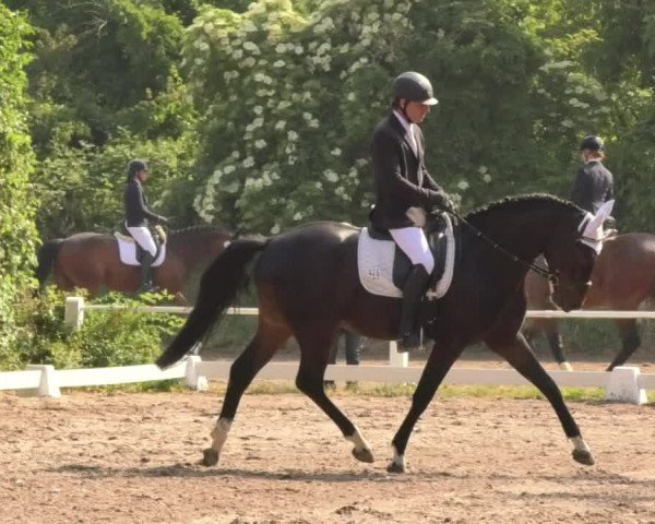 Eppelheimer Reiterfest 2018