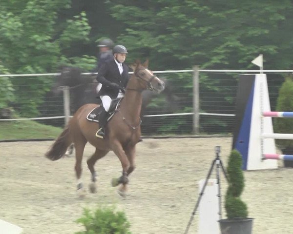 Reitturnier Winkel 2018