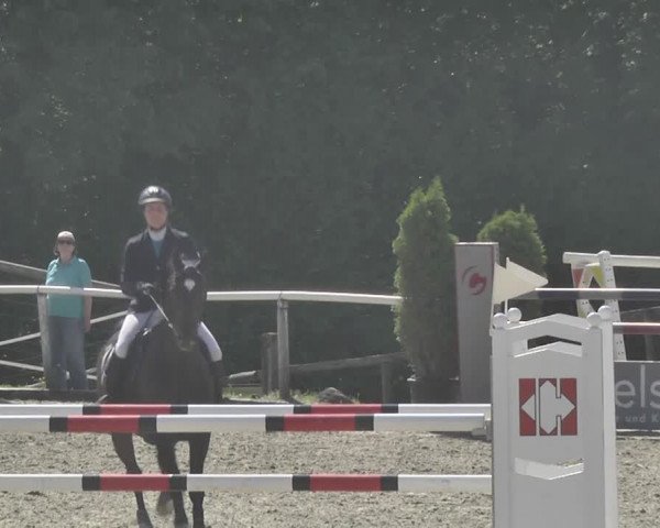 Reitturnier Winkel 2018