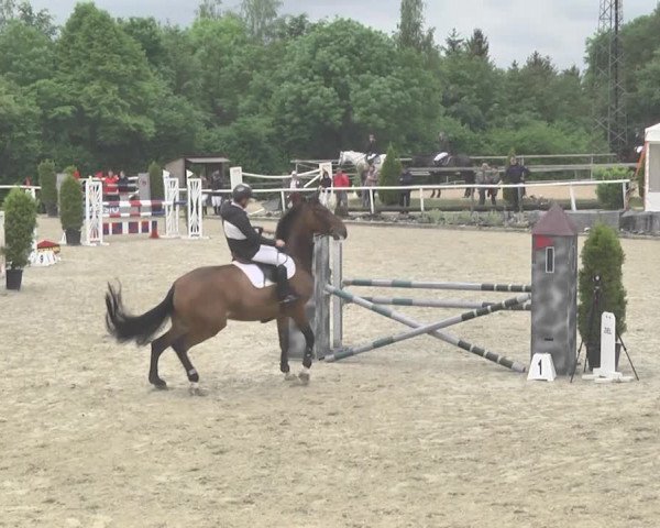 Reitturnier Winkel 2018