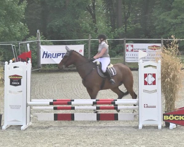Reitturnier Winkel 2018