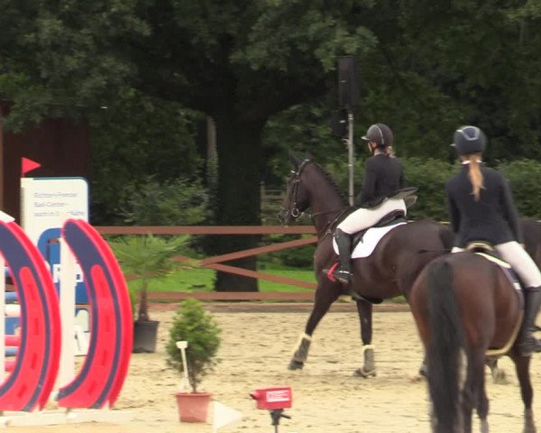 Equus Colonius - Reitanlage Brüse Köln 2021