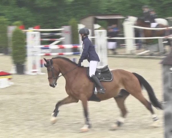Reitturnier Winkel 2018
