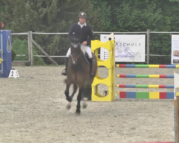 Reitturnier Winkel 2018