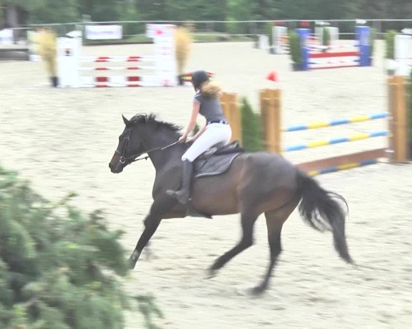 Reitturnier Winkel 2018