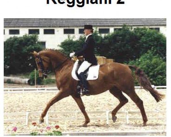 horse Reggiani 2 (Hessian Warmblood, 1992, from Rubinstein I)