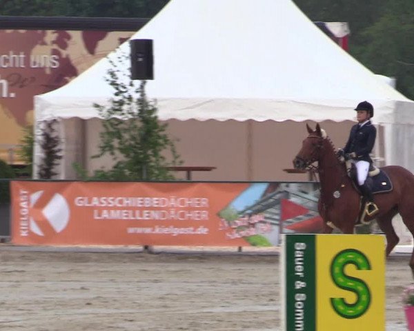 Reitturnier Hellefeld 2018