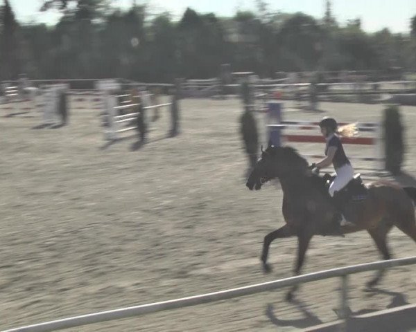 Reitturnier Winkel 2018