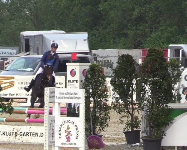 Reitturnier Hellefeld 2018