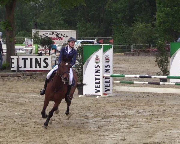 Reitturnier Hellefeld 2018
