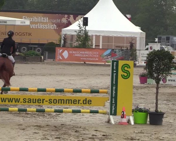 Reitturnier Hellefeld 2018