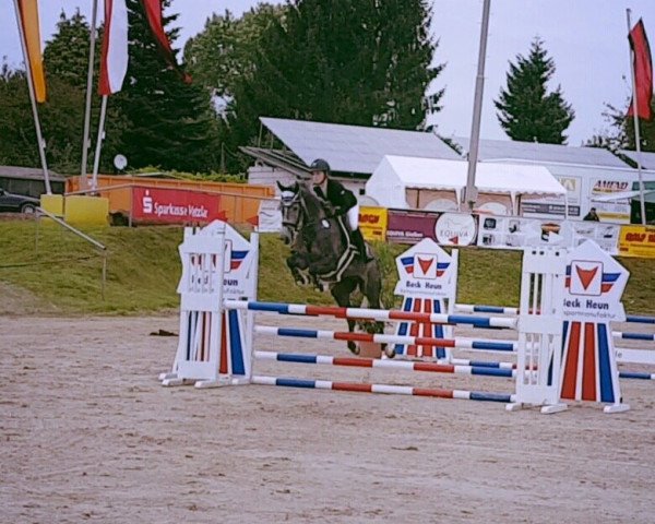 jumper Candela 79 (German Sport Horse, 2012, from Kaiserwind)